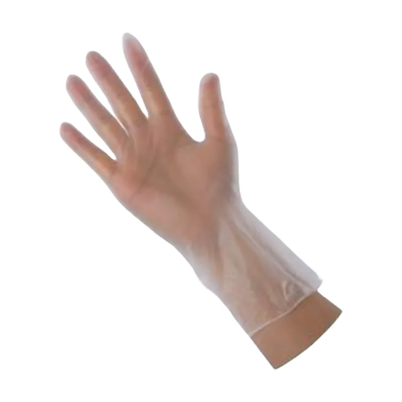 Clear powder-free vinyl (PVC) disposable glove on a hand
