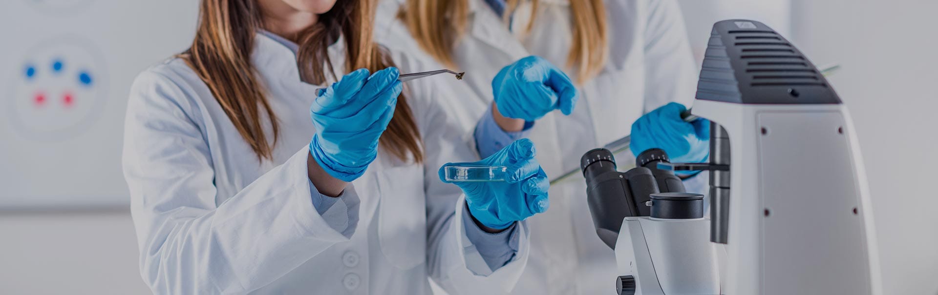 Laboratory research with medical equipment