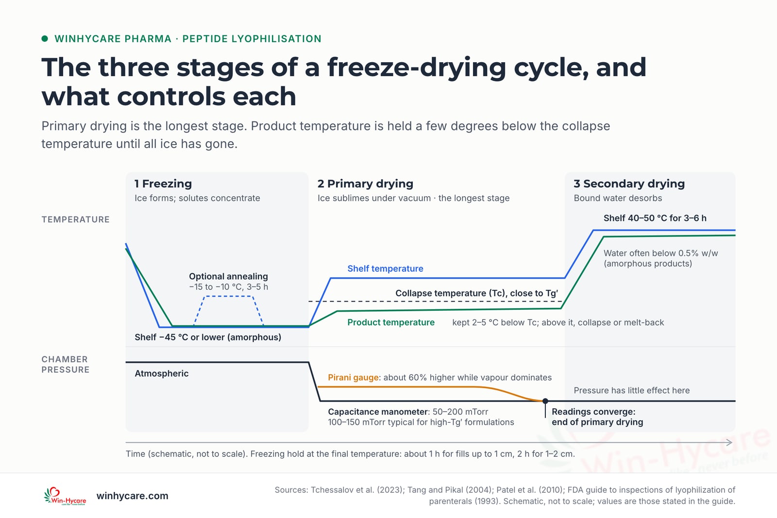 Schematic freeze-drying cycle in three stages: freezing with the shelf at −45 °C or lower for amorphous formulations and optional annealing at −15 to −10 °C for 3–5 hours; primary drying, the longest stage, at 50–200 mTorr with product temperature kept 2–5 °C below the collapse temperature, ending when Pirani and capacitance manometer readings converge; secondary drying at 40–50 °C for 3–6 hours, where water below 0.5% w/w is common for amorphous products
