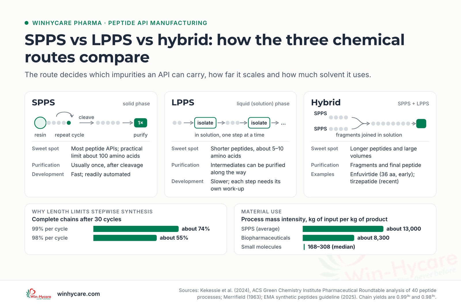 Comparison of three peptide synthesis routes: SPPS builds the chain on a resin, suits most peptide APIs up to a practical limit of about 100 amino acids and is purified once after cleavage; LPPS builds it in solution with isolated intermediates and suits shorter peptides of about 5–10 amino acids; hybrid joins SPPS fragments in solution for longer peptides and large volumes, as with enfuvirtide and tirzepatide. After 30 cycles, 99% efficiency per cycle leaves about 74% complete chains and 98% about 55%. SPPS process mass intensity averages about 13,000, against about 8,300 for biopharmaceuticals and a median of 168–308 for small molecules