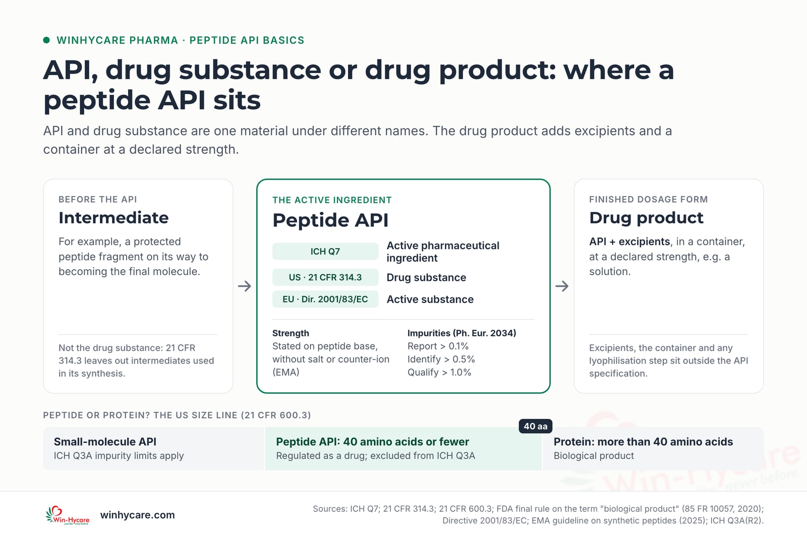 Infographic: an intermediate such as a protected peptide fragment becomes the peptide API, which ICH Q7 calls the active pharmaceutical ingredient, US rules the drug substance and EU law the active substance; adding excipients and a container at a declared strength makes the drug product. In the US a peptide has 40 amino acids or fewer and is regulated as a drug, while a protein has more than 40 and is a biological product