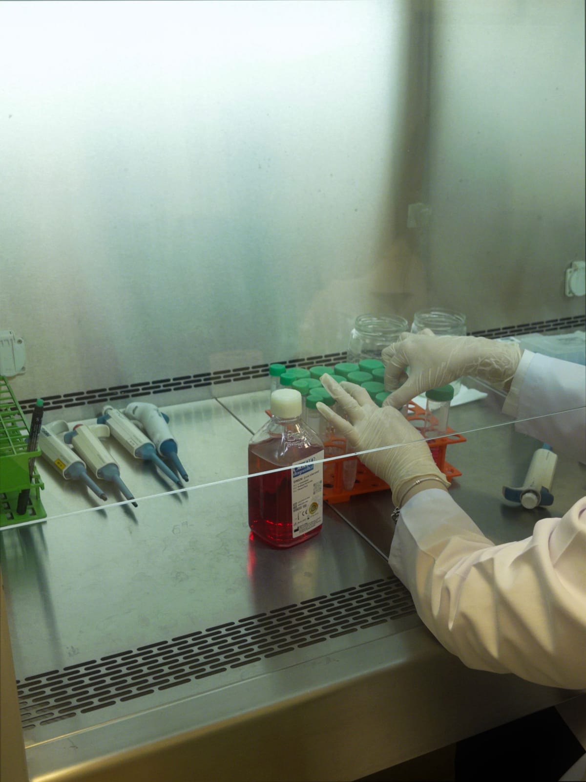 Technician handling cell culture flasks inside a biosafety cabinet
