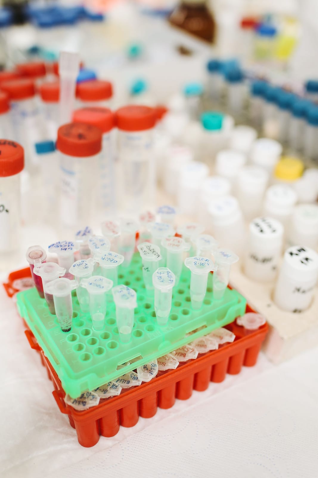 Racks of capped laboratory sample tubes on a bench